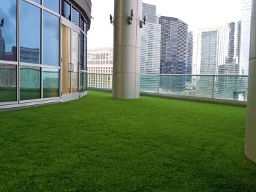 Artificial Grass Photos: Artificial Pet Turf San Clemente California Back and Front Yard